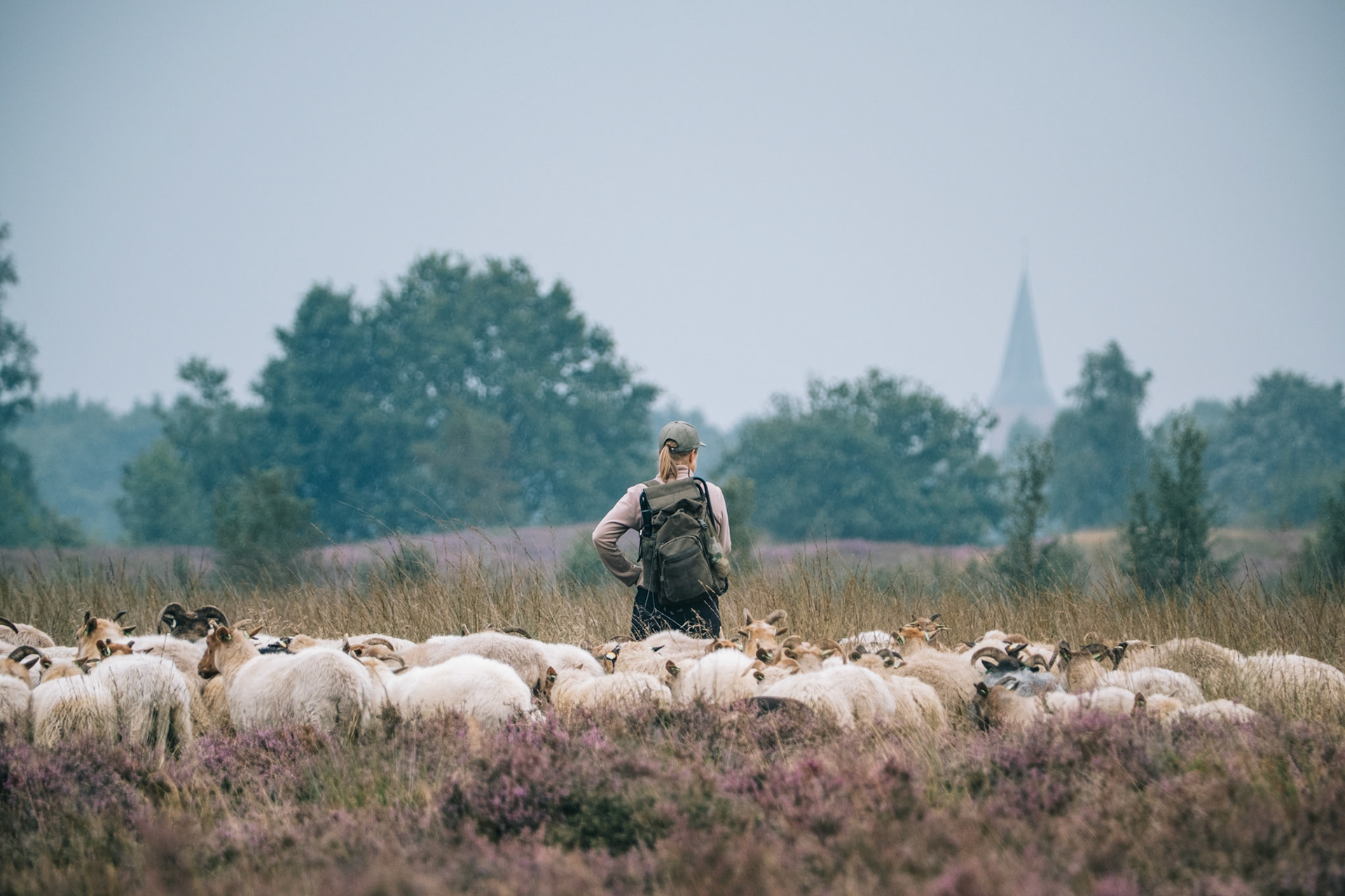 Fotografie van Frank Reiffers